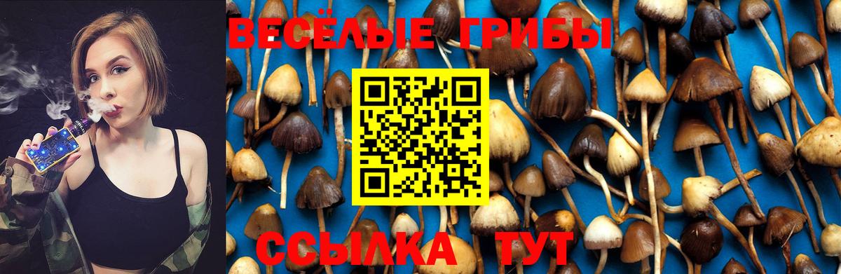Галлюциногенные грибы Psilocybe Костомукша