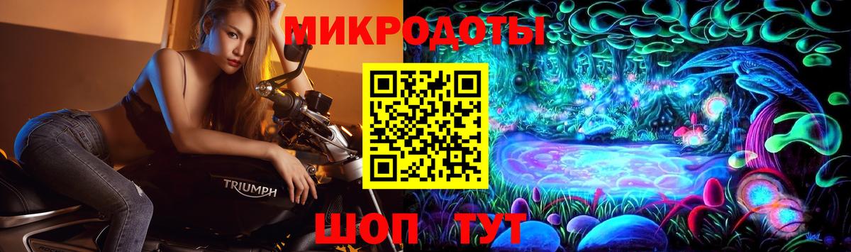 Псилоцибиновые грибы Cubensis  Вход с VPN  Костомукша 